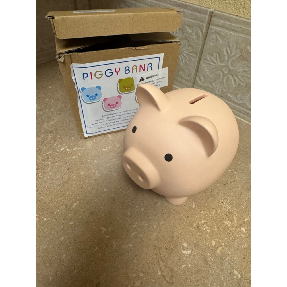 Piggy Bank Pink One Size